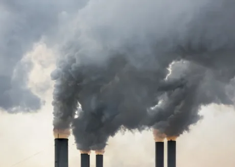 التلوث البيئي: أسبابه وحلوله