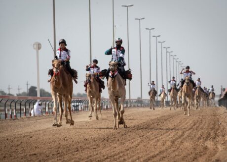 مهرجان هجن دبي: تجربة ثقافية فريدة لمحبي السباقات