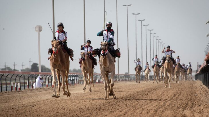 مهرجان هجن دبي: تجربة ثقافية فريدة لمحبي السباقات