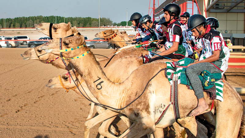 كيفية الوصول إلى مهرجان هجن دبي